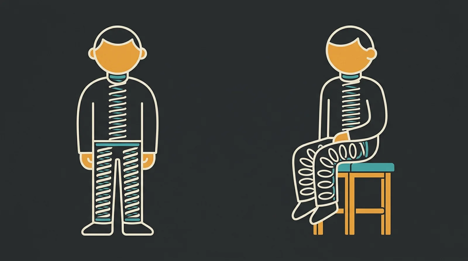 A person standing with a spring in the torso and thicker springs in the legs, and the same person sitting with the leg springs relaxed